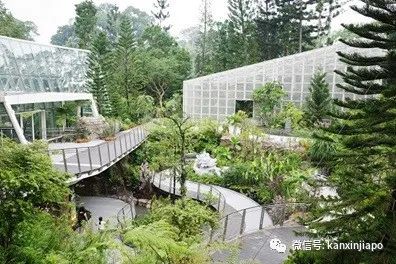 新加坡胡姬花园限时免费开放!还有孙燕姿、周迅命名的花