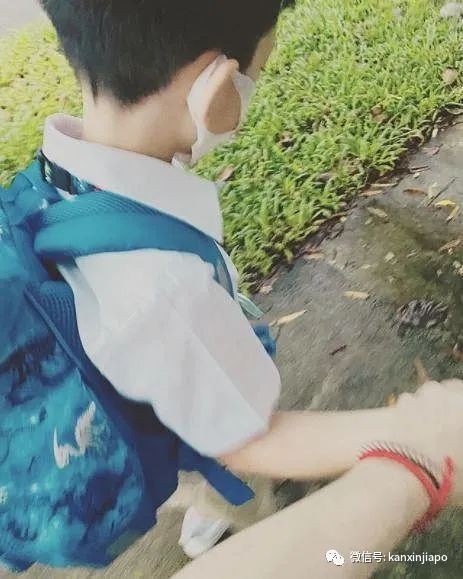 昔日女神徐若瑄惊爆与狮城富商离婚!儿子仍留新加坡读书