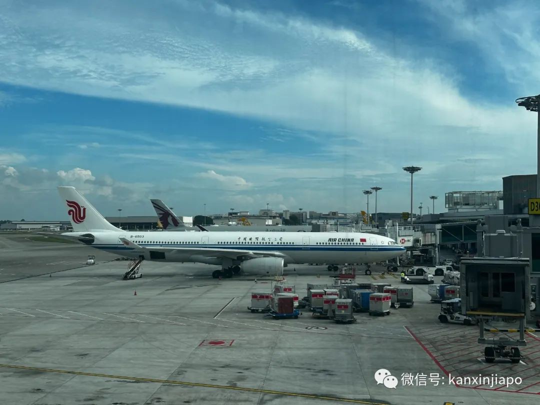 中新互免签证或将在2024年初启动！新加坡公民赴华签证费降了一半