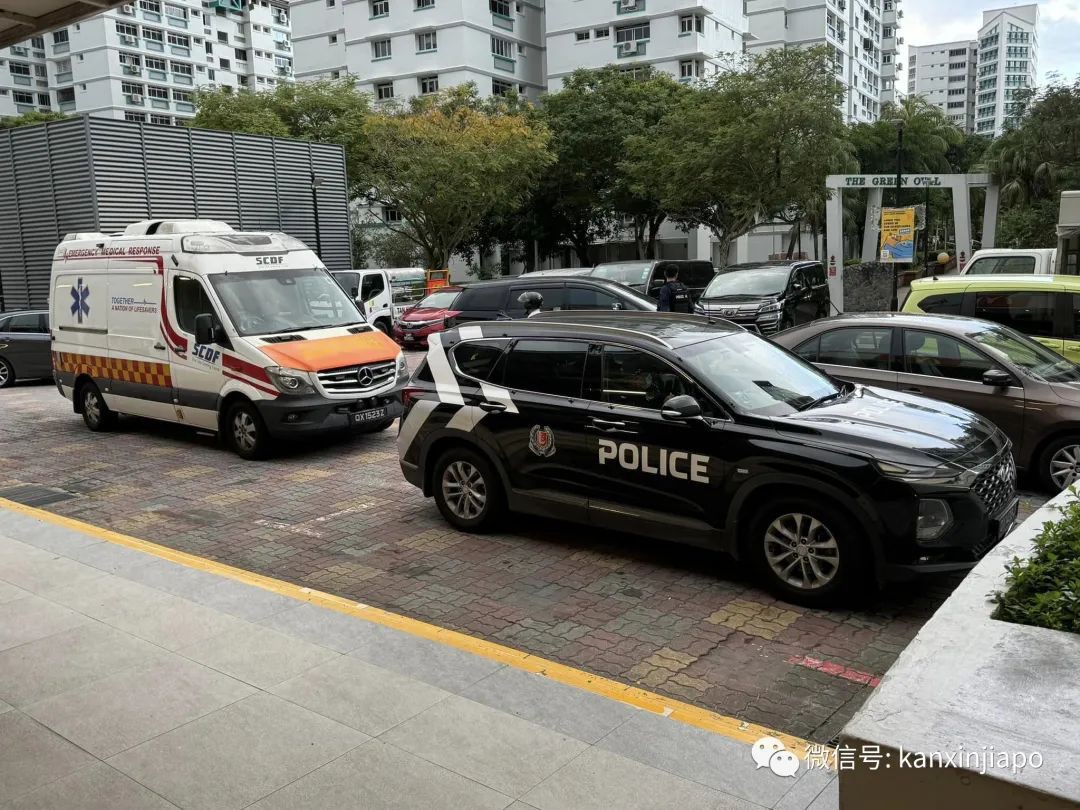 突发！新加坡六旬男子商场持刀砍人，4人浴血，大批警察持冲锋枪赶到，民众惊慌逃命