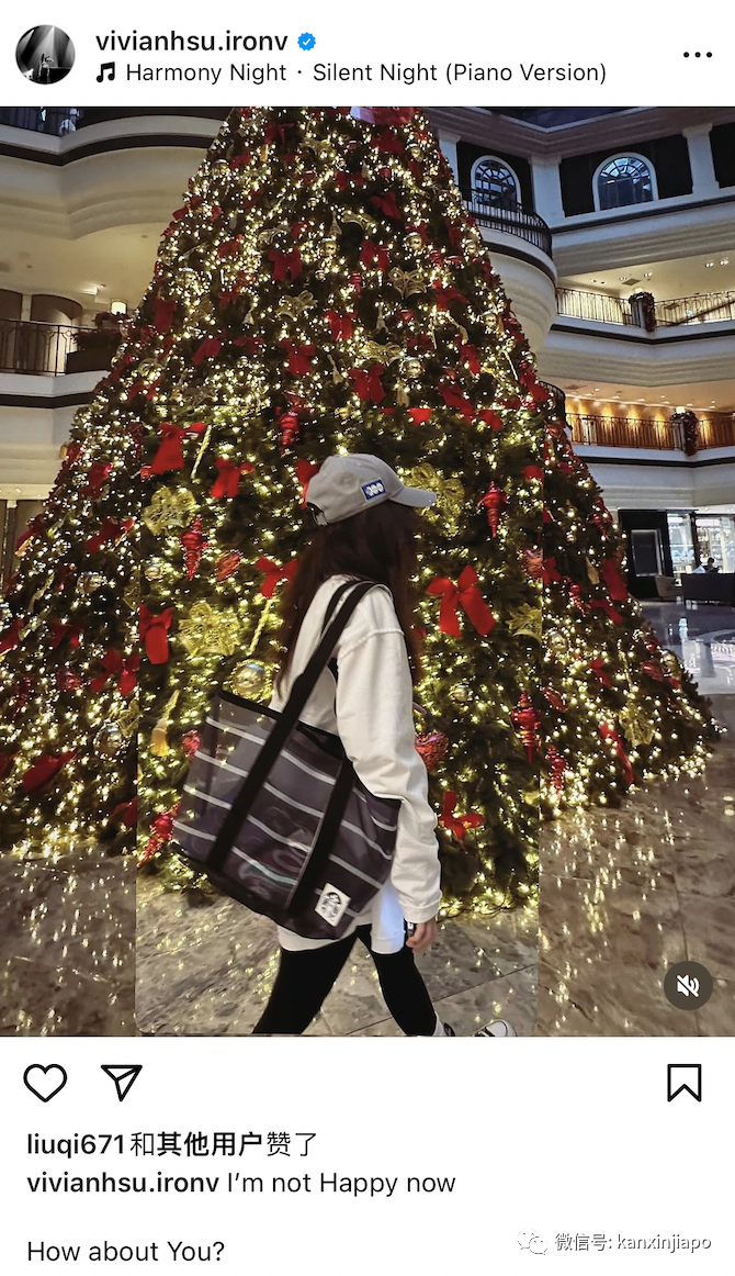 昔日女神徐若瑄惊爆与狮城富商离婚!儿子仍留新加坡读书