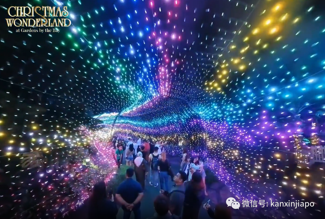 滨海湾花园游客数破亿，黄循财担任颁奖嘉宾并为圣诞仙境打CALL