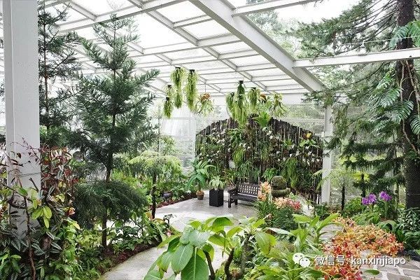 新加坡胡姬花园限时免费开放!还有孙燕姿、周迅命名的花