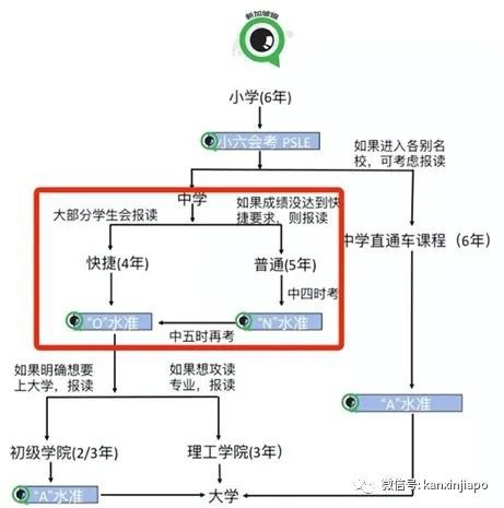新加坡自中学阶段开设的东南亚地区史有何特点?