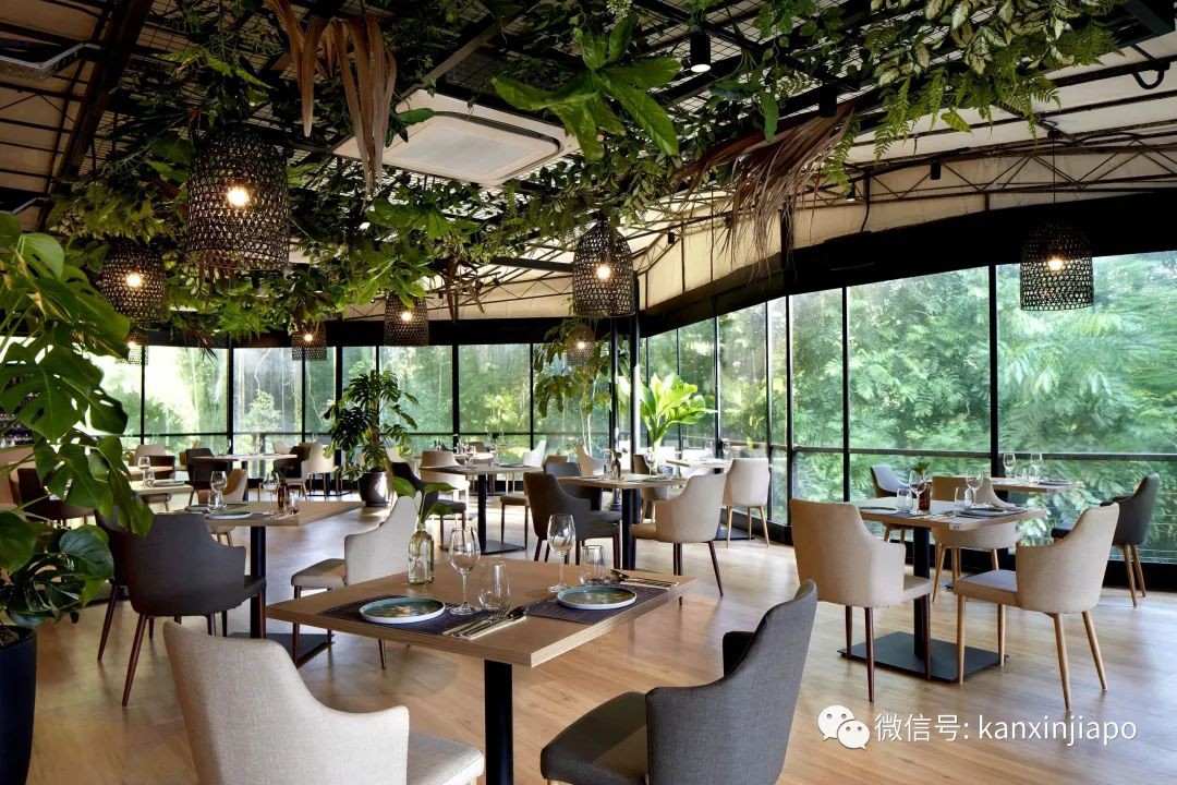 在新加坡过一次拉丁美洲风格的圣诞节！龙虾、烤乳猪...品尝舌尖上的异域风情