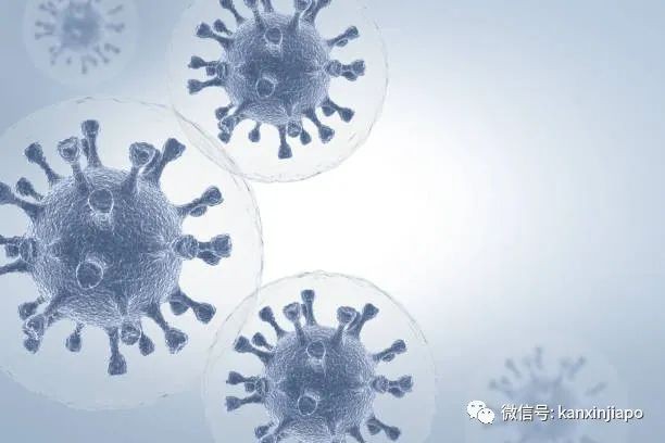 新加坡疫情卷土重来？上周确诊5万多例，从大后天开始每天通报数据