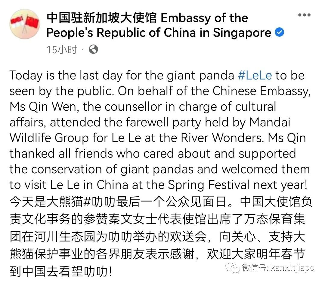 被新加坡从小宠到大！大熊猫叻叻VIP待遇回中国，新航专机、三人护驾