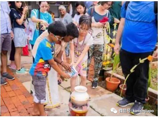 新加坡也庆祝“丰收节”!印度传统文化馆一波免费活动抢先看