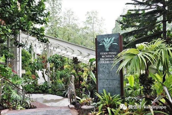 新加坡胡姬花园限时免费开放!还有孙燕姿、周迅命名的花
