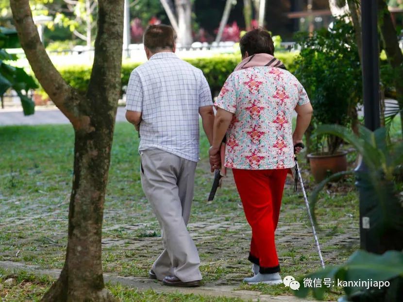 社区培训、逛图书馆、徒步慢行…父母来新加坡不无聊了