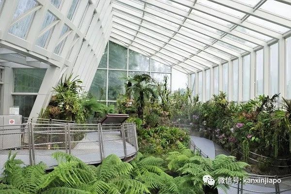 新加坡胡姬花园限时免费开放!还有孙燕姿、周迅命名的花