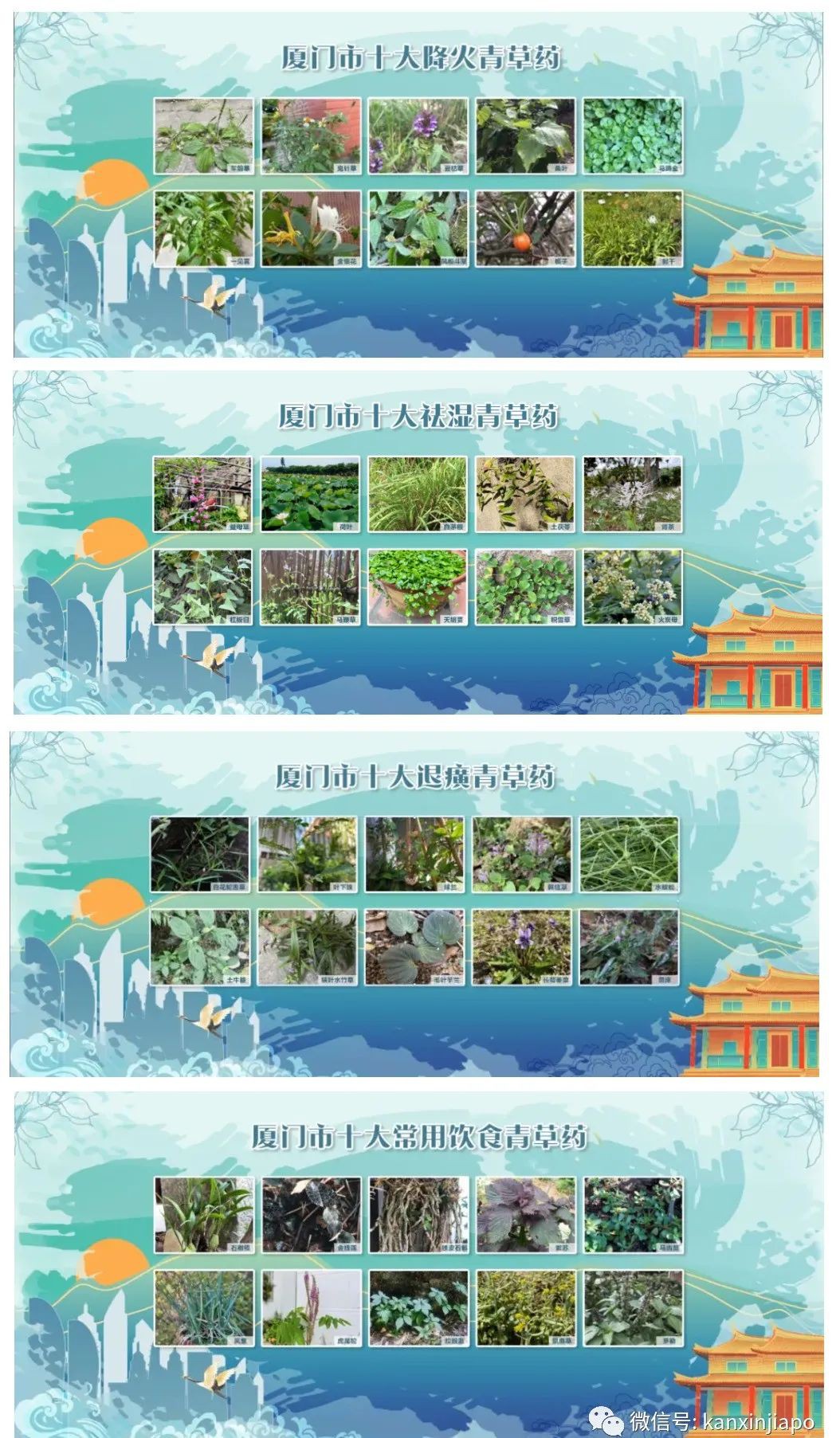 在新加坡,近两百年传统的华人古庙,却隐藏着这么多异域元素