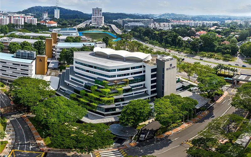 新加坡O水准放榜，最全升学攻略看这里！