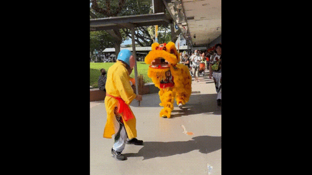 新加坡“含龙量”飙升,滨海湾巨龙霸气威武,全岛年味浓浓