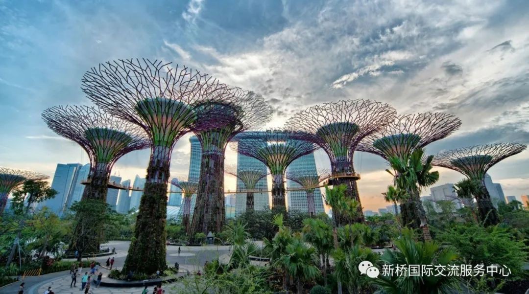 寒假出国游学的绝佳选择，新加坡冬令营正在火热报名中！
