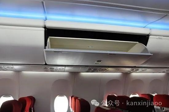 在飞往新加坡的飞机上偷东西被抓,中国籍被告大呼“判太重了”