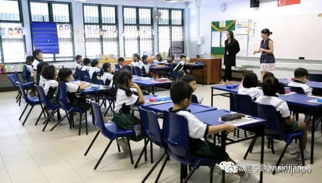 “来了新加坡一年，决定从国际学校转到政府学校”