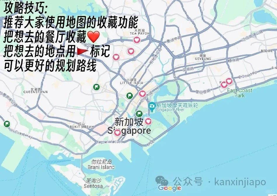 新加坡这9家餐厅的美食,吃了还想再回来
