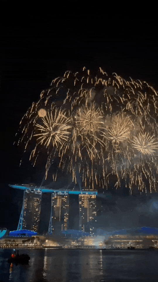 新加坡滨海湾狂欢跨年挤爆了,9个地点紧急临时关闭!烟花秀现场倒数,2024年来了~