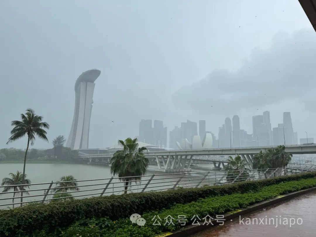 新加坡雨季有多“吓人”，名牌包、沙发长霉发毛，除湿机也要累瘫了
