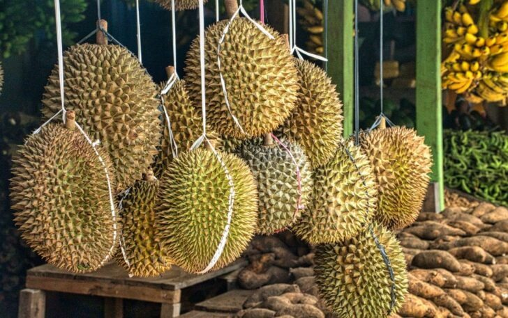 泰国成中国榴莲主力供应国！去年进口量约140万吨