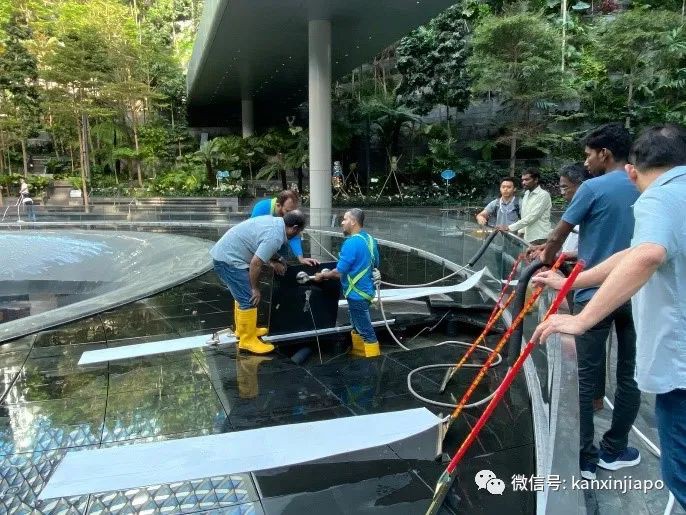 注意！新加坡樟宜机场瀑布将关闭一周