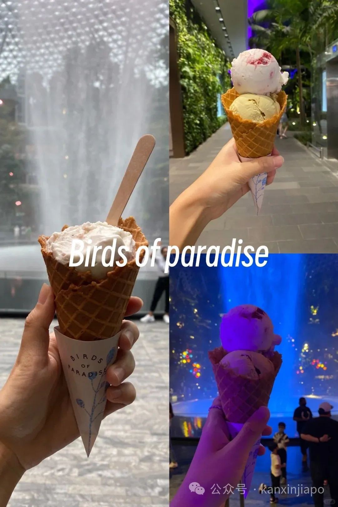 新加坡这9家餐厅的美食,吃了还想再回来