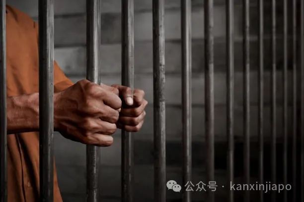 在飞往新加坡的飞机上偷东西被抓,中国籍被告大呼“判太重了”