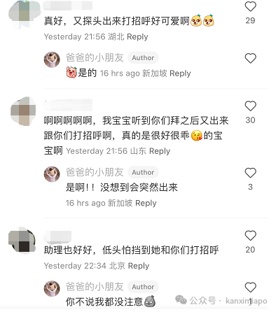 明星都来新加坡了!宋轶打卡鱼尾狮、王鹤棣现身机场