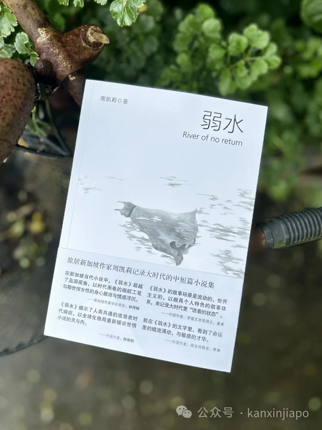 豪门弃妇、越剧名伶、异国赌徒……华文小说集《弱水》新加坡上市,讲述名利场的故事