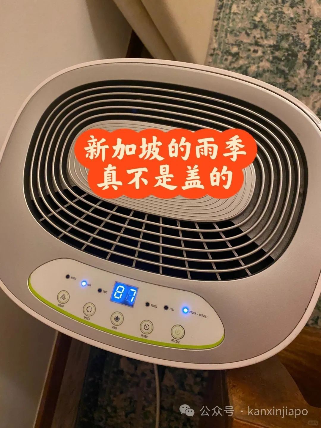 新加坡雨季有多“吓人”,名牌包、沙发长霉发毛,除湿机也要累瘫了