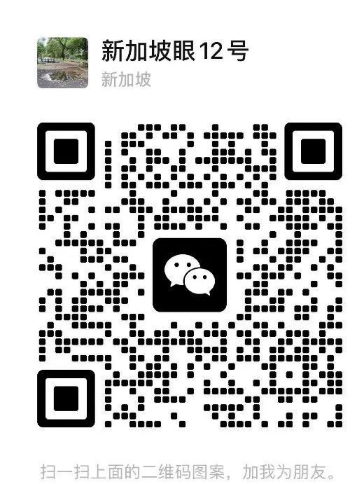“在新加坡定居一年多后，开始真正地理解我的家乡”