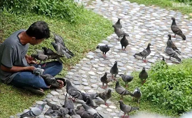 冲上热搜!“来新加坡旅游,一不小心就变穷光蛋”