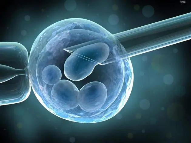 人造子宫技术、合成人类胚胎...新加坡正在越来越多地使用新辅助生殖技术