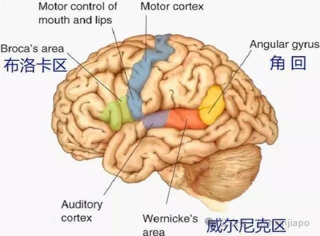 我家两个娃都成功上岸GEP，关键是.....