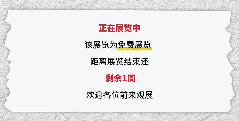 新加坡国家美术馆新展:SEE ME SEE YOU 影像装置与艺术结合