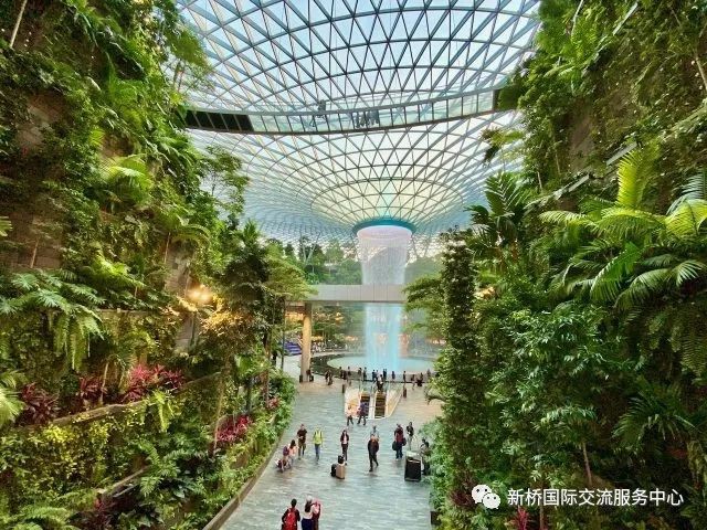寒假出国游学的绝佳选择，新加坡冬令营正在火热报名中！