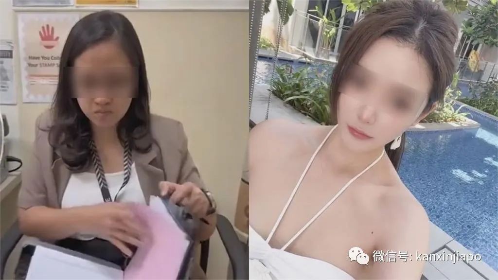 冲上热搜!“来新加坡旅游,一不小心就变穷光蛋”