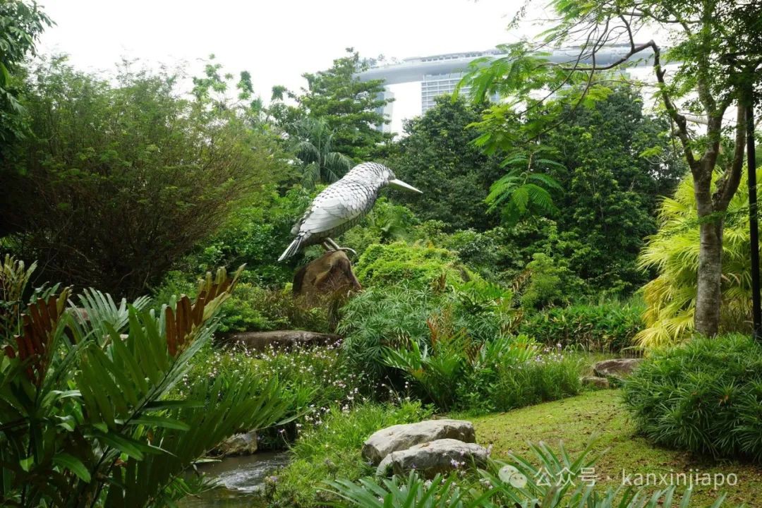 新加坡滨海湾花园这个隐藏景点,里头还有熟食中心