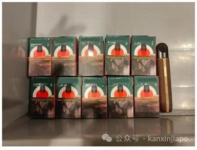 注意!携带这样物品入境新加坡将当场没收,最高或将罚款2万新币