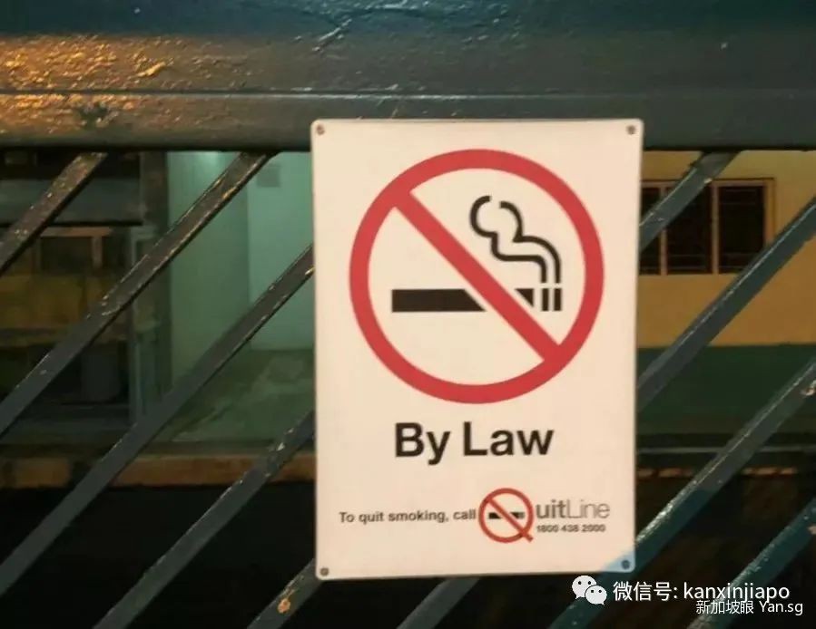 冲上热搜!“来新加坡旅游,一不小心就变穷光蛋”