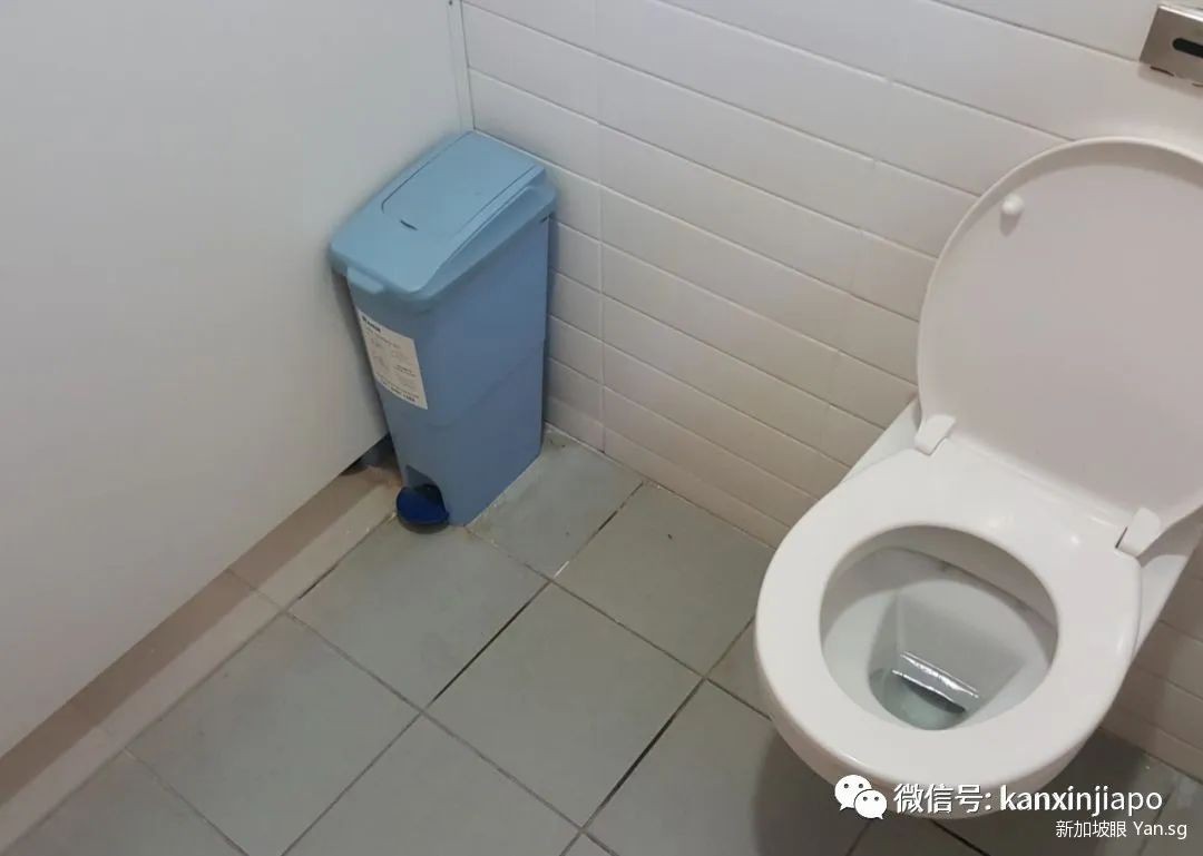 冲上热搜!“来新加坡旅游,一不小心就变穷光蛋”