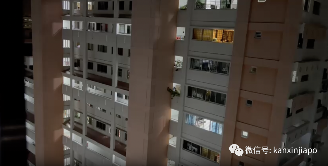 冲上热搜!“来新加坡旅游,一不小心就变穷光蛋”