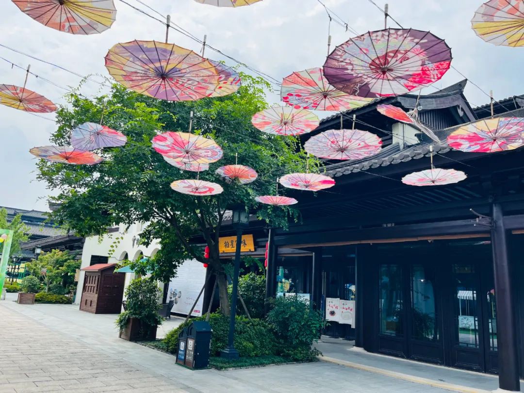 “在新加坡定居一年多后，开始真正地理解我的家乡”
