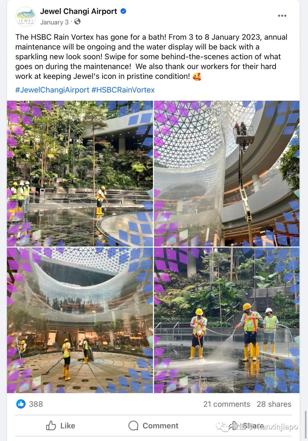 注意！新加坡樟宜机场瀑布将关闭一周