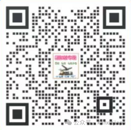 免费送¥100 !新加坡海运仅需340元/方,十年老庄家,五大优势全解析!