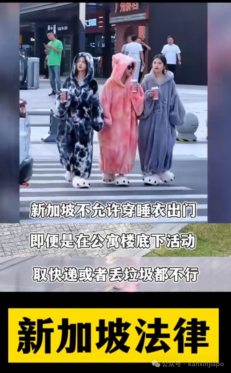 终极解谜:“新加坡到处都是便衣,过了十点敢喝酒就被鞭,蹭WiFi被遣送回国”