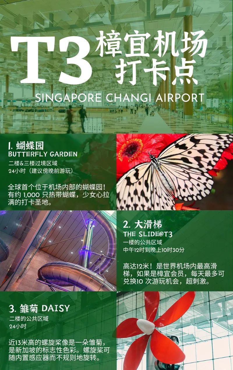 免签了!中新往返,新加坡樟宜机场2024最新超强攻略来了!