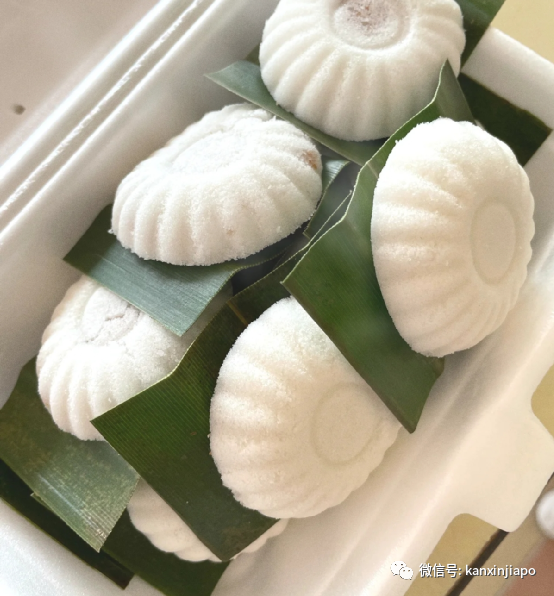 新加坡地铁汤东线沿途宝藏打卡地!不用换乘一路直达
