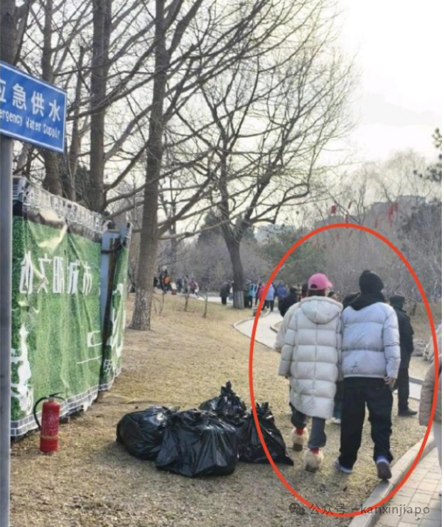 新加坡全岛各地捕获野生金晨